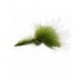 Woolly Bugger Olive Conehead - 1