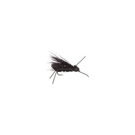 Charlie Boy Hopper Black - 1