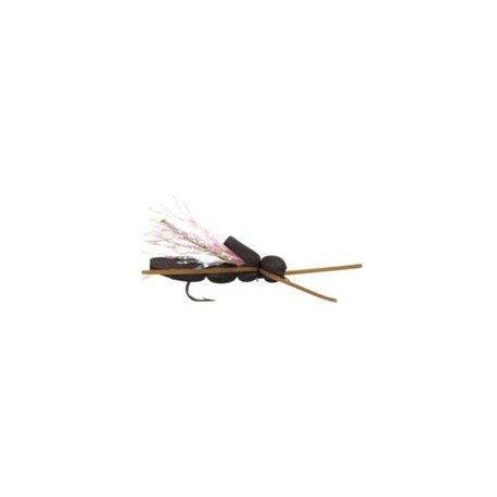 Cicada - 1