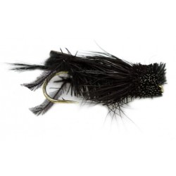 Cricket  Black