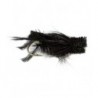 Cricket  Black