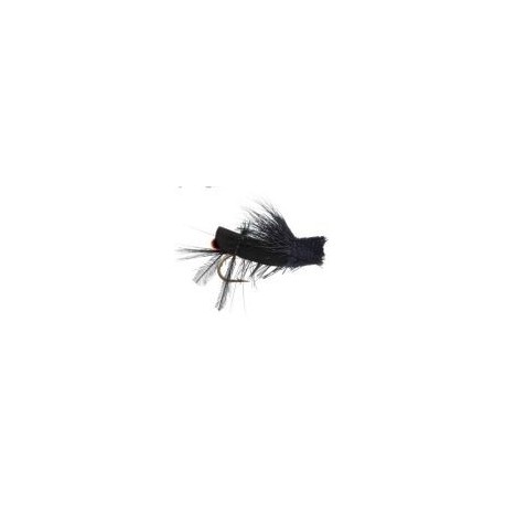 Daves Cricket - 1
