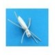 Foam Spider White - 1