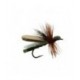 Green Leaf Hopper - 1