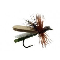 Green Leaf Hopper