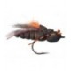 Project Cicada - 1
