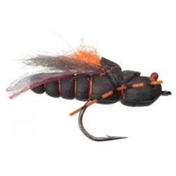 Project Cicada - 1