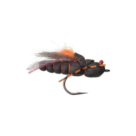 Project Cicada - 1