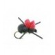 Rainys Foam Beetle - 1
