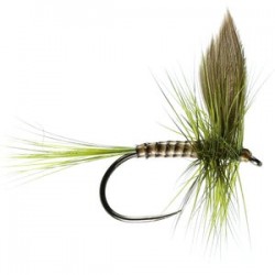 Olive Dun Barbless - 1