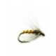 Partridge and Yellow - 1