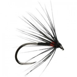 Red Spot Spider Barbless