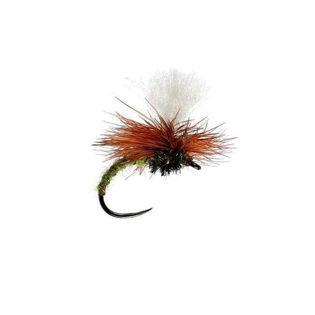 Olive Klinkhammer Barbless - 1