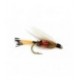 Royal Coachman Wet