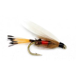 Royal Coachman Wet