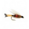 Royal Coachman Wet
