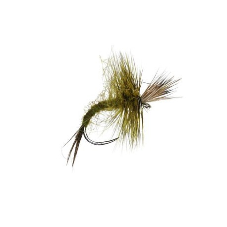 Olive Skater Barbless - 1
