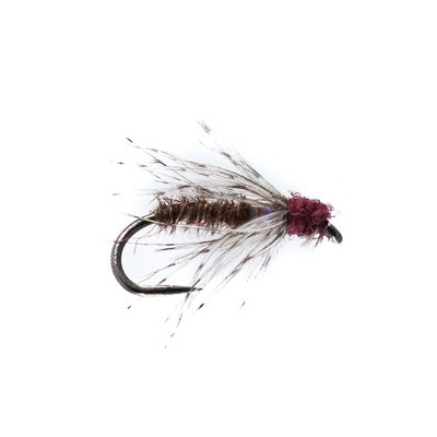 Barbless Moorland Spider