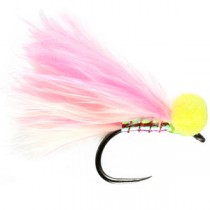 Candyman Booby Barbless