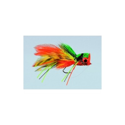 Whitlock's Hair Bug Frog Wg