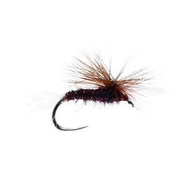 Cripple Midge Claret