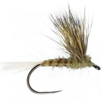 Double Decker Winged Dry