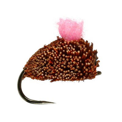 Carp Ginger Dog Biscuit Bl