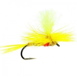 Parachute Yellow May - 1