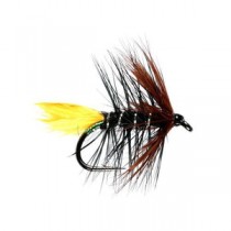 Sunburst Kate Hackled Wet Fly