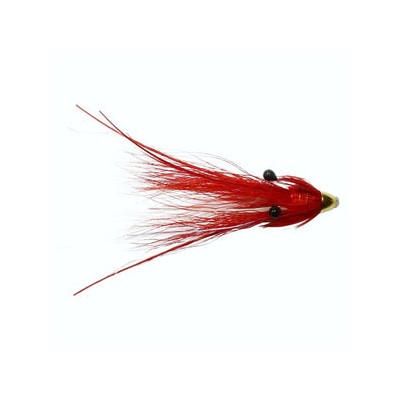 Gow'S Shrimp Feeler Conehead 10Mm