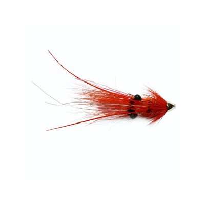 Islamouth Shrimp Feeler Conehead 10Mm