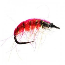 Pink Czech Nymph Barbless - 1