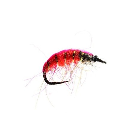 Pink Czech Nymph Barbless - 1