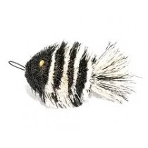 Zebra Fish
