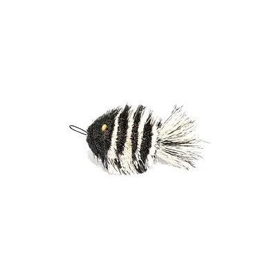 Zebra Fish