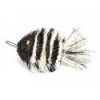 Zebra Fish