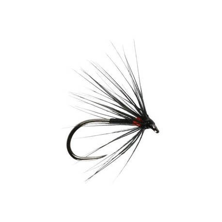 Red Spot Spider Barbless - 1