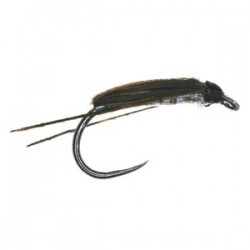 Silver Corixa Barbless - 1