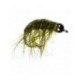 Super Diving Shrimp - 1