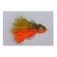 Ehlers' Sunfish - 1