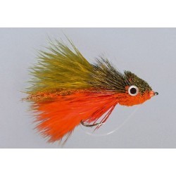 Ehlers' Sunfish