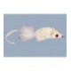 Fat Swimmin' Rat White