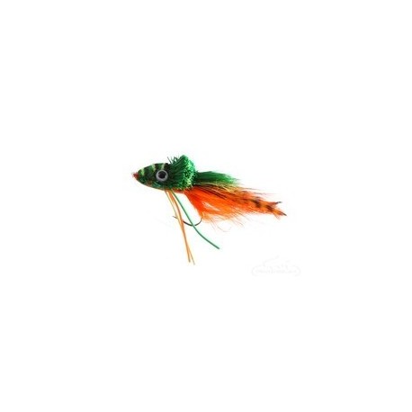 Frog Swimming Orange Belly - 1