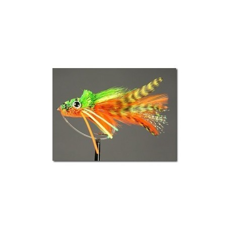 Swimming Frog Orange Belly - 1