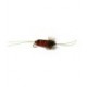 Bitch Creek Stonefly
