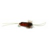 Bitch Creek Stonefly