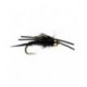 Black Creeper Nymph - 1