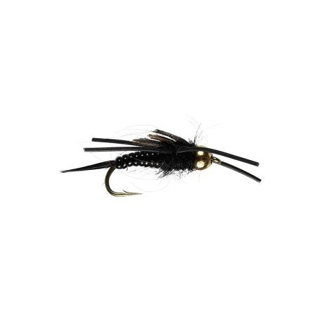 Black Creeper Nymph - 1
