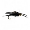 Black Creeper Nymph