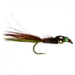 Brown Damsel Mirage Flashback - 1